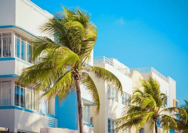 Palm trees framing tropical resort building